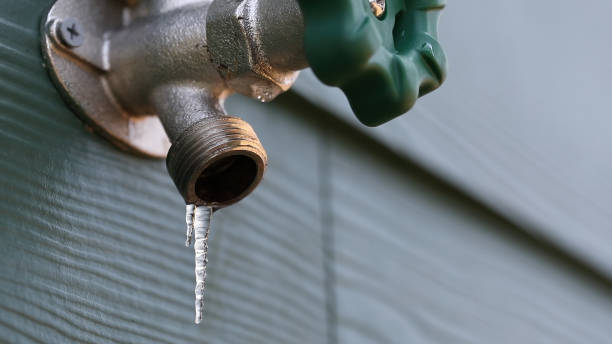 Best Shower Repair Services  in Twentynine Palms, CA